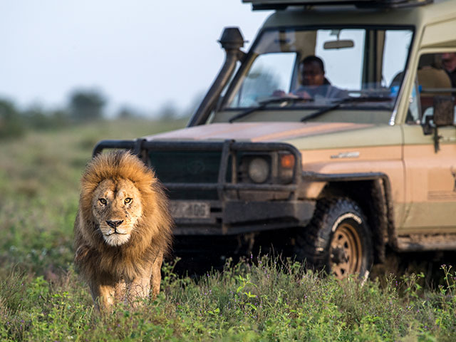 Tanzania Safari Experience